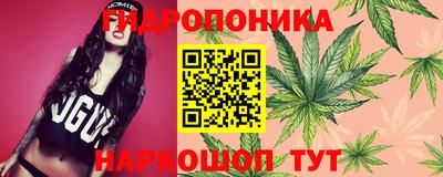 apvp Ярославль