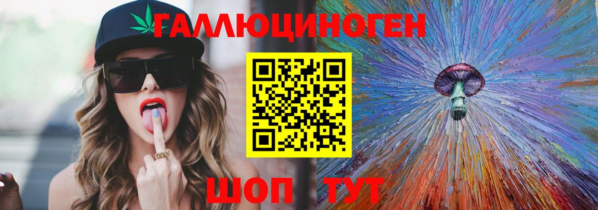 Галлюциногенные грибы Psilocybe Борисоглебск