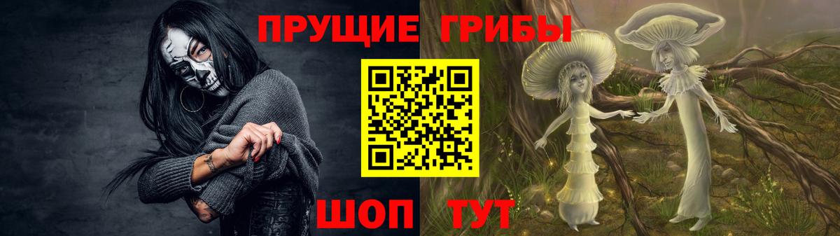 Борисоглебск  Псилоцибиновые грибы ЛСД  Вход с VPN 